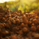 Image for article titled Shooting Challenge: Golden Hour Gallery 2